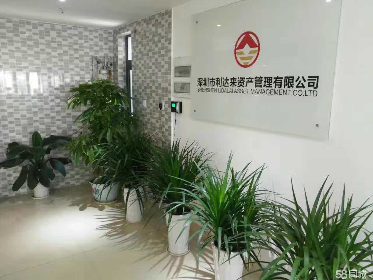 深圳市利达来资产管理 专业投资顾问的价值与选择指南